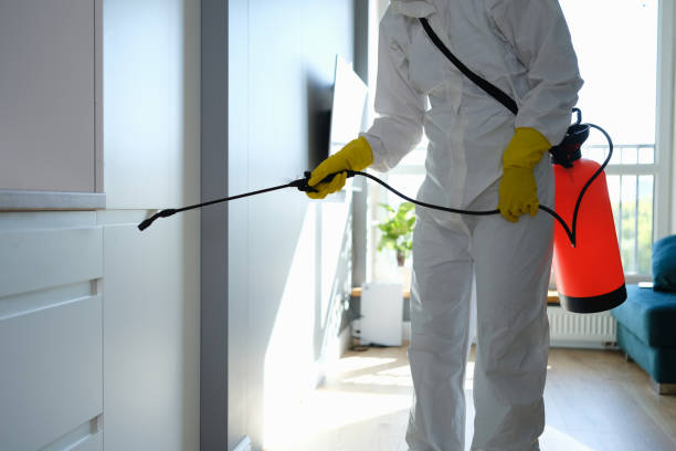 Best Commercial Mold Removal  in Woodbourne, PA